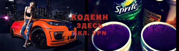 хмурый Магас