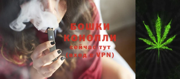 хмурый Магас