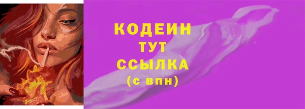 хмурый Магас
