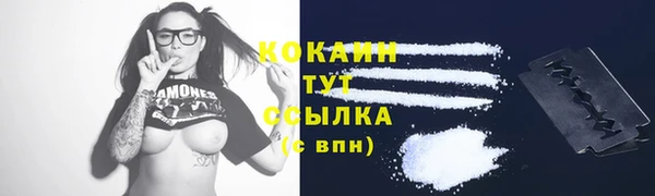 МДПВ Липки