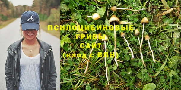 jwh Майский