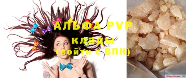 хмурый Магас
