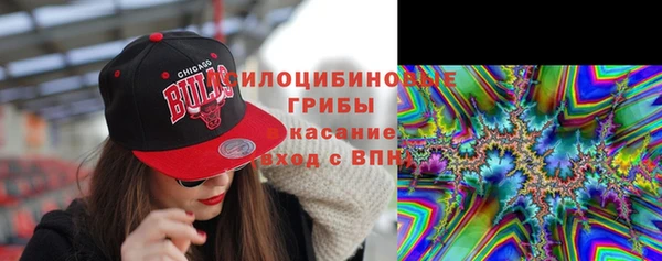 хмурый Магас