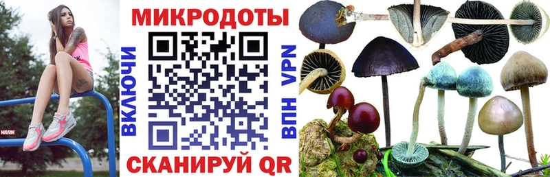 Галлюциногенные грибы GOLDEN TEACHER Шебекино
